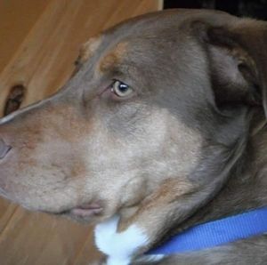 Meet your Posher, Debbie